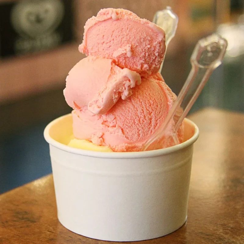 10 OZ ICE CREAM CUP