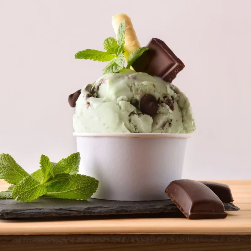 16OZ ICE CREAM CUP